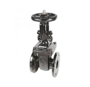 Sant Cast Iron Wedge Gate Sluice Valve Renewable Seat 100 mm, CR 19B